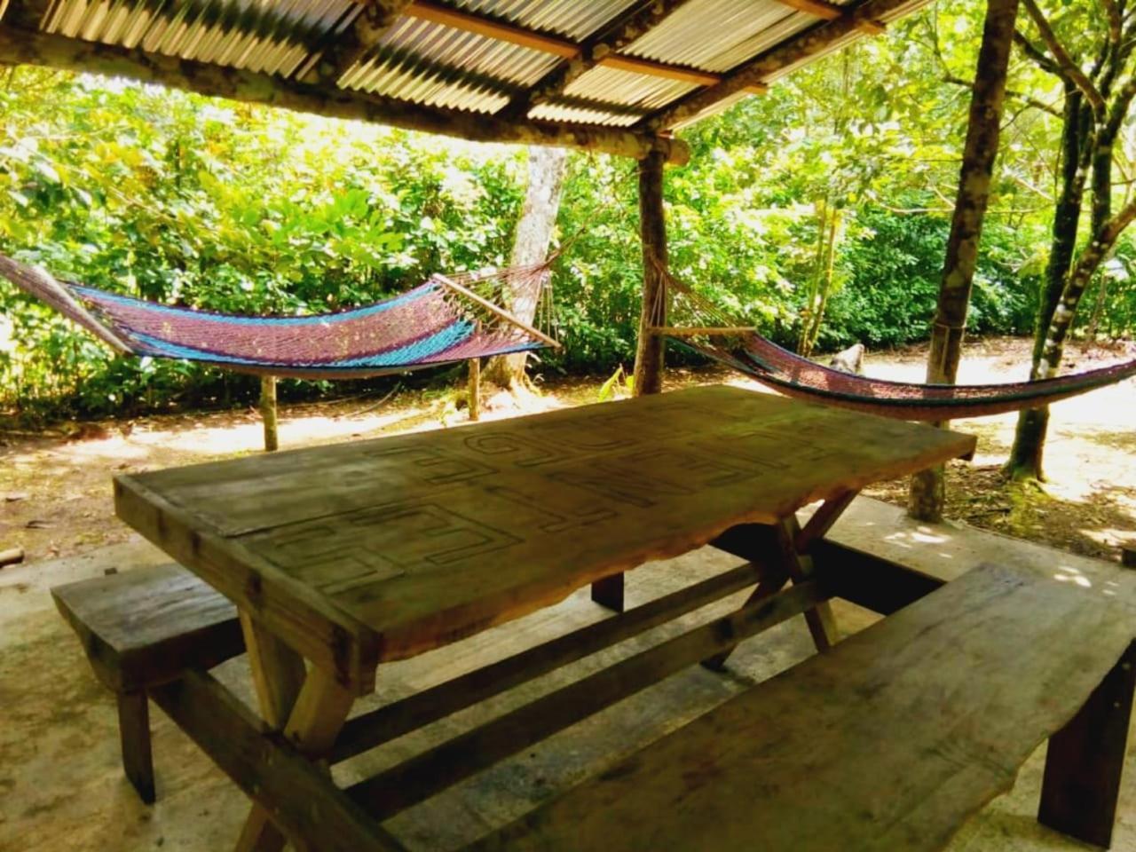 Nacientes Lodge بيجاغوا المظهر الخارجي الصورة
